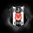 besiktaslitl